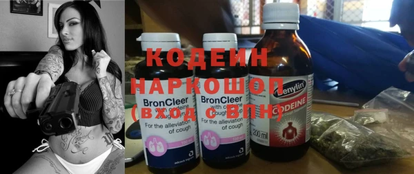 гашик Дмитровск