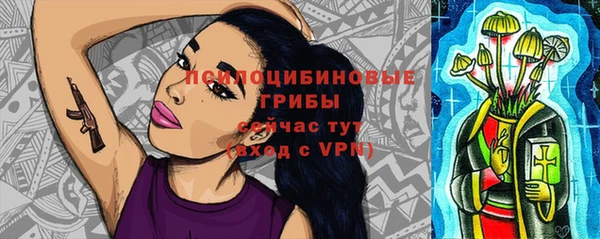 гашик Дмитровск
