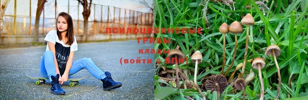 мефедрон мука Дмитров
