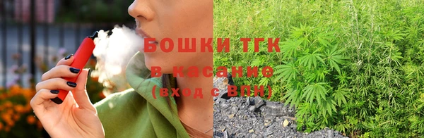 гашик Дмитровск