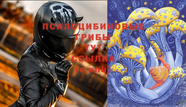 гашик Дмитровск
